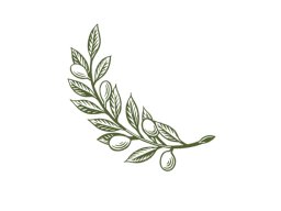 olive branch